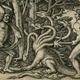 Illustration for article titled Carl Linnaeus Debunked A Rumored Hydra Corpse